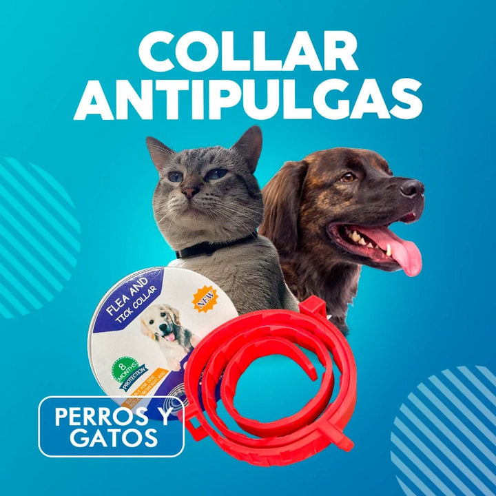 COLLAR ANTIPULGAS PARA PERROS O GATOS